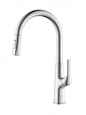 Richie Chrome Kitchen Faucet